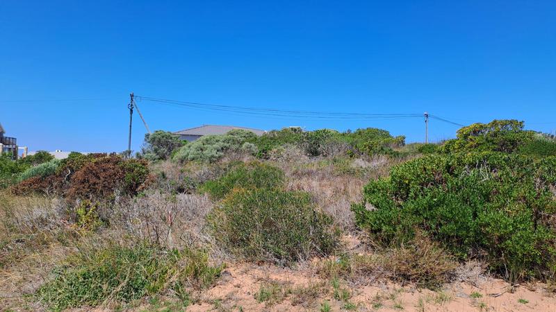 0 Bedroom Property for Sale in Jongensfontein Western Cape